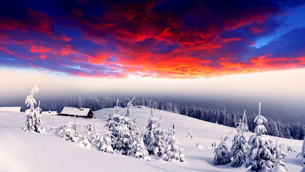 Winter landscape