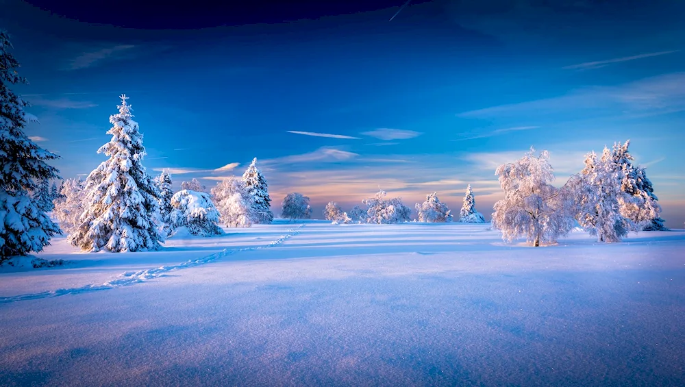 Winter landscape