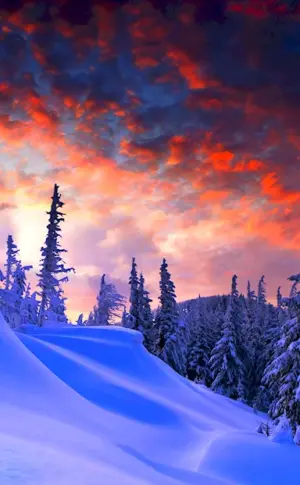 Beautiful winter