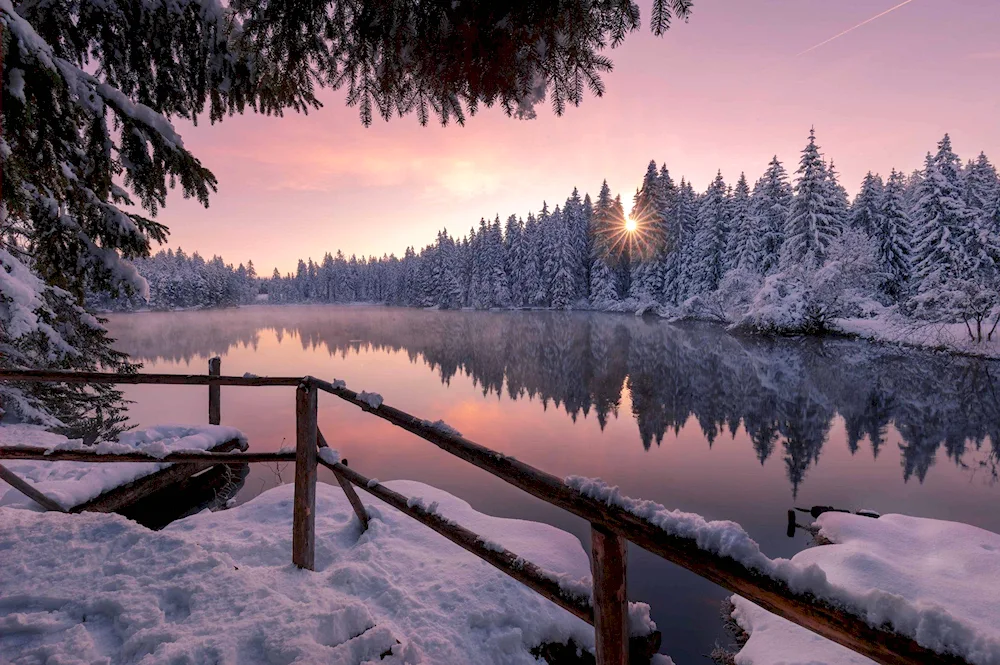 Beautiful winter