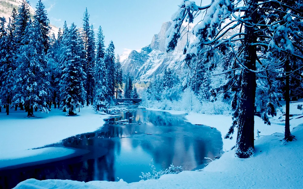 Winter landscape