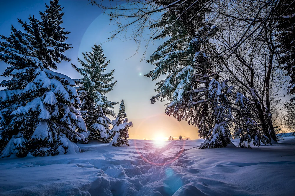 Winter nature landscape