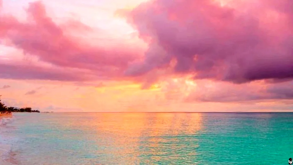 Nature in light colours