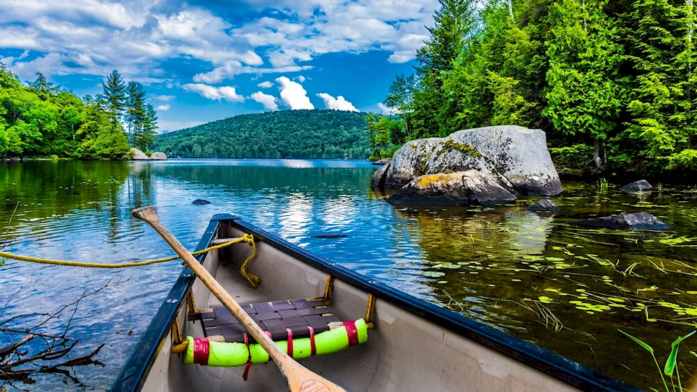 Summer fishing