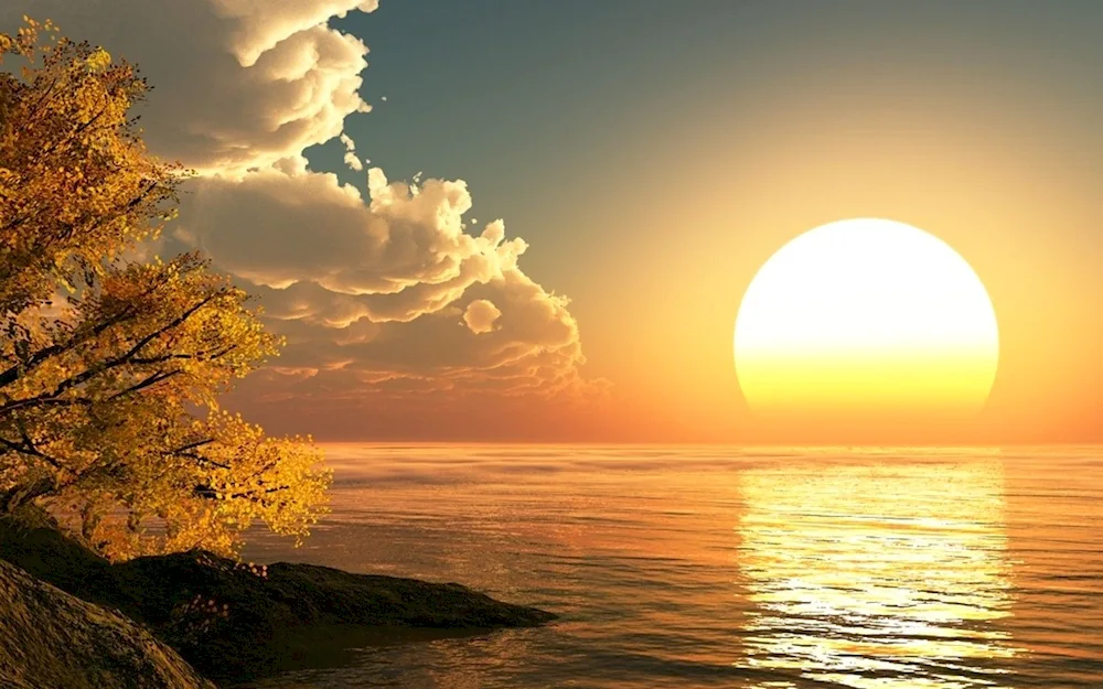 Beautiful sunrise
