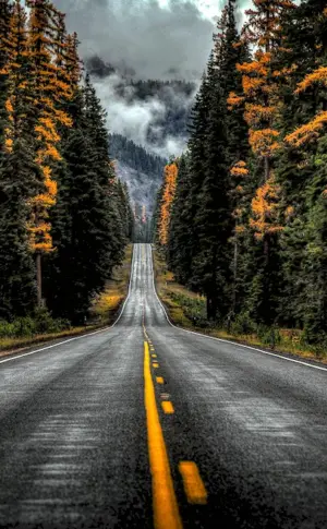 Beautiful roads