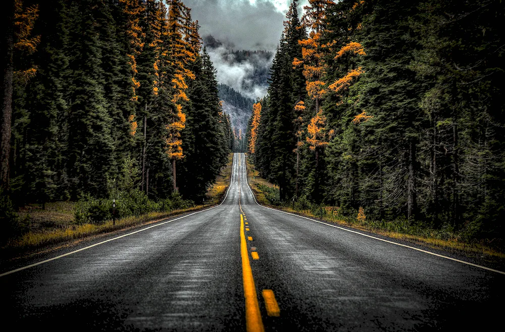 Beautiful roads