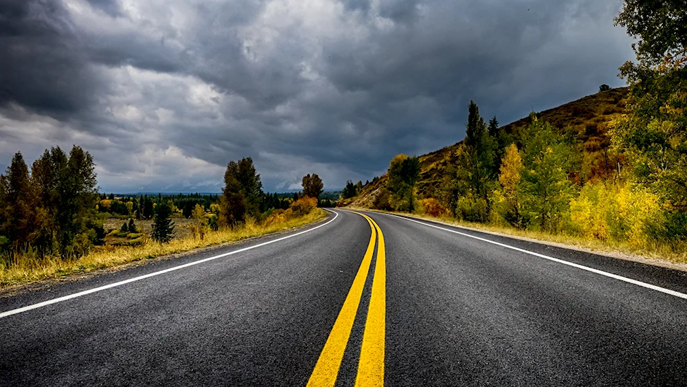 Carolina nature road