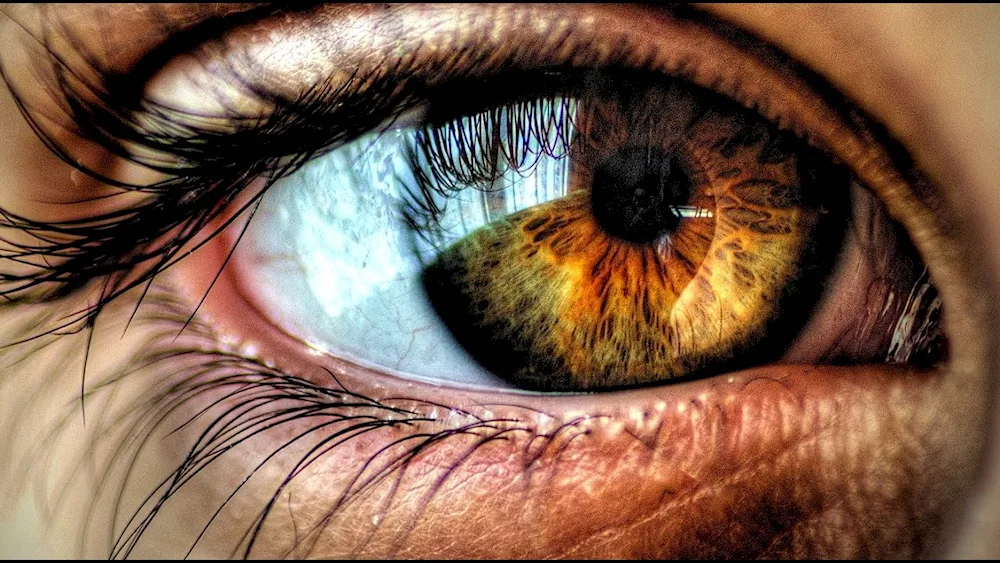 Beautiful eyes