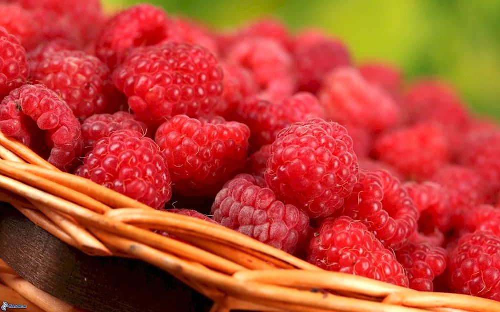 Beautiful berries