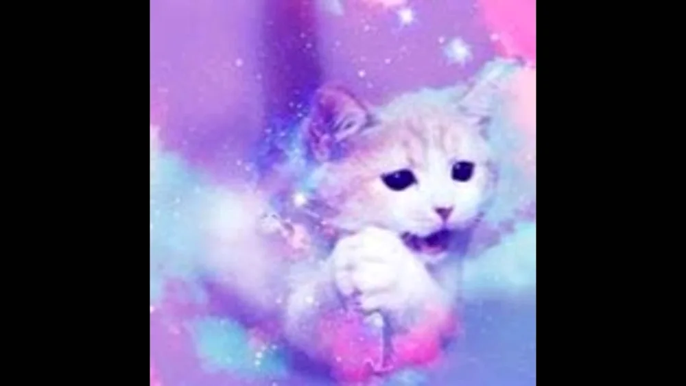 Cute kitties