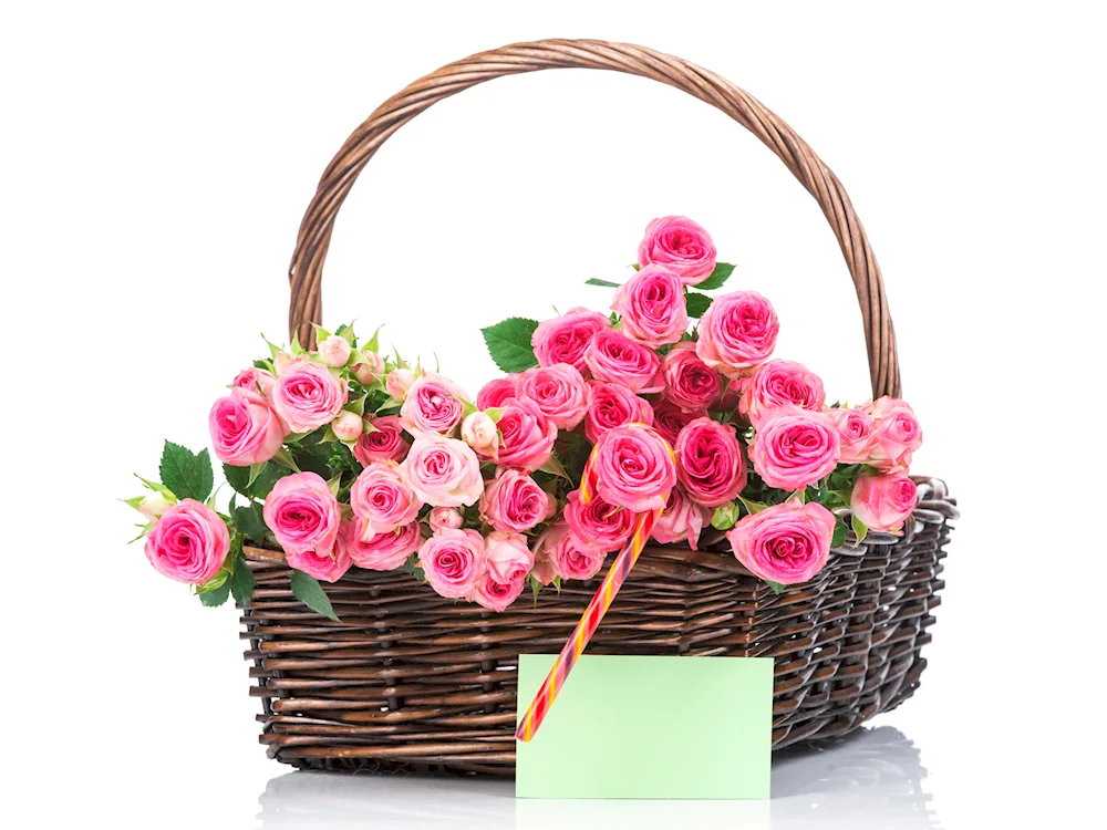 Basket of flowers