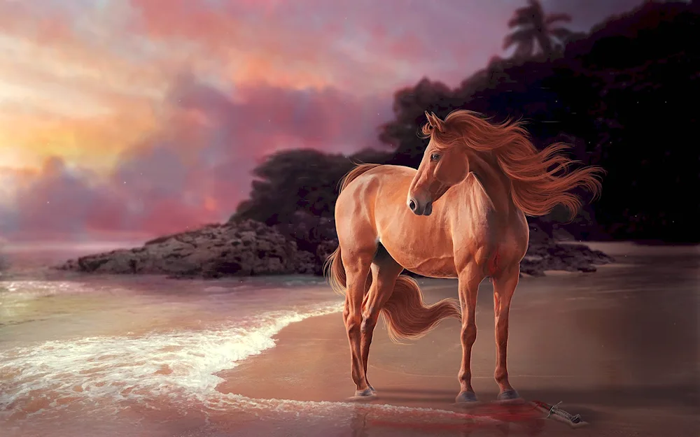 Beautiful horses