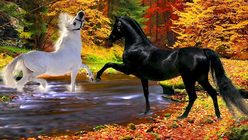 Beautiful horse wallpaper