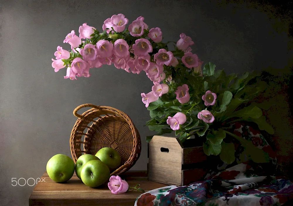 Louise Geltz Photography still lifes