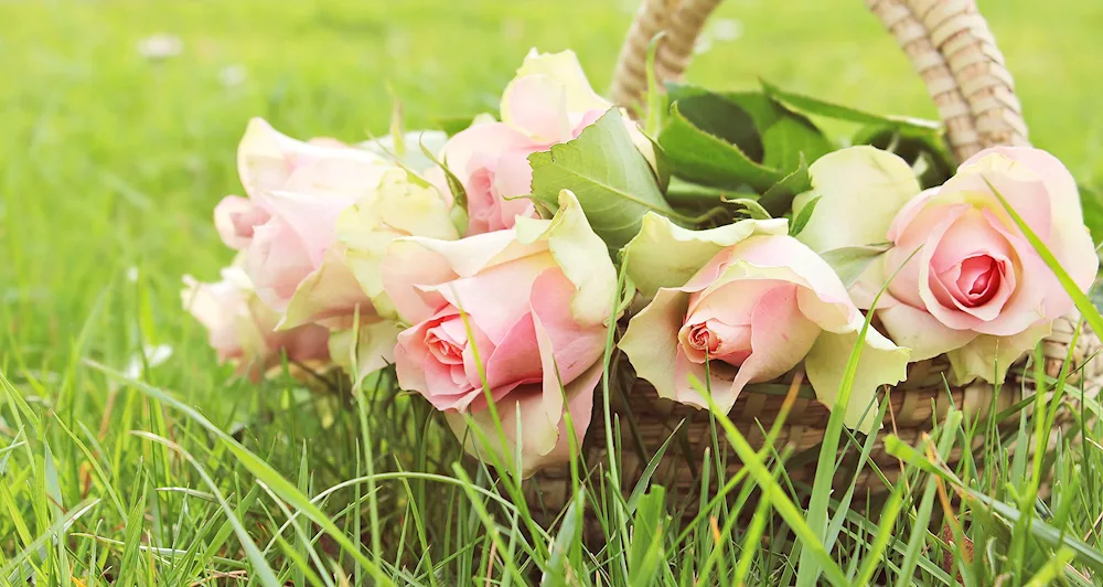 Peony rose bouquet