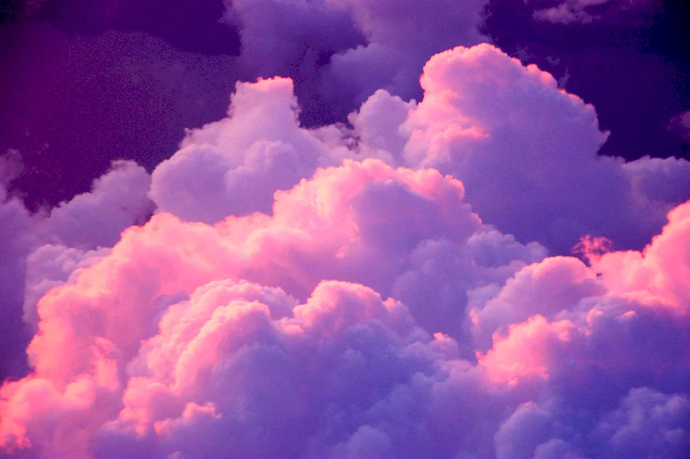 Pink Cloud Pink cloud