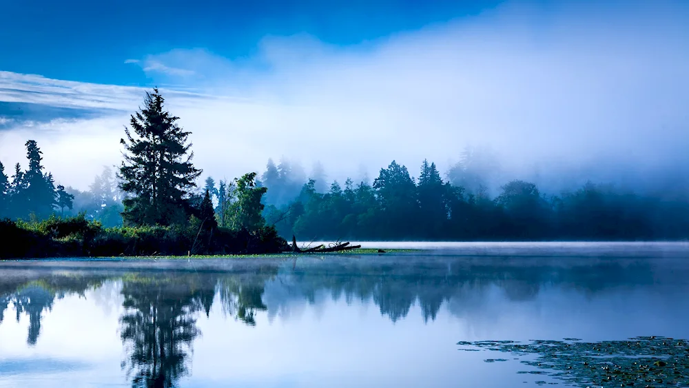 Schwarzwald Lake