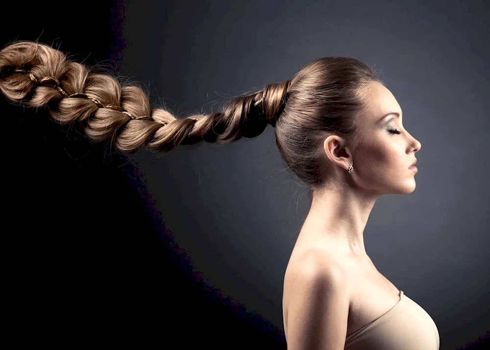 Braid hairstyles