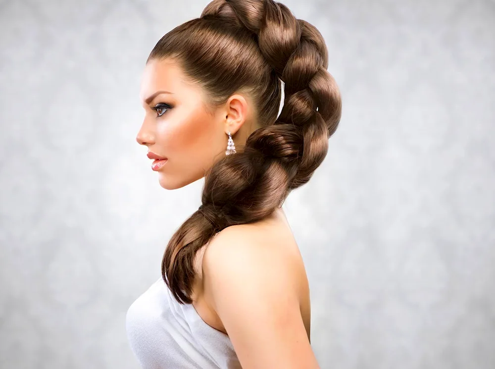 Two braids hairstyles. braids