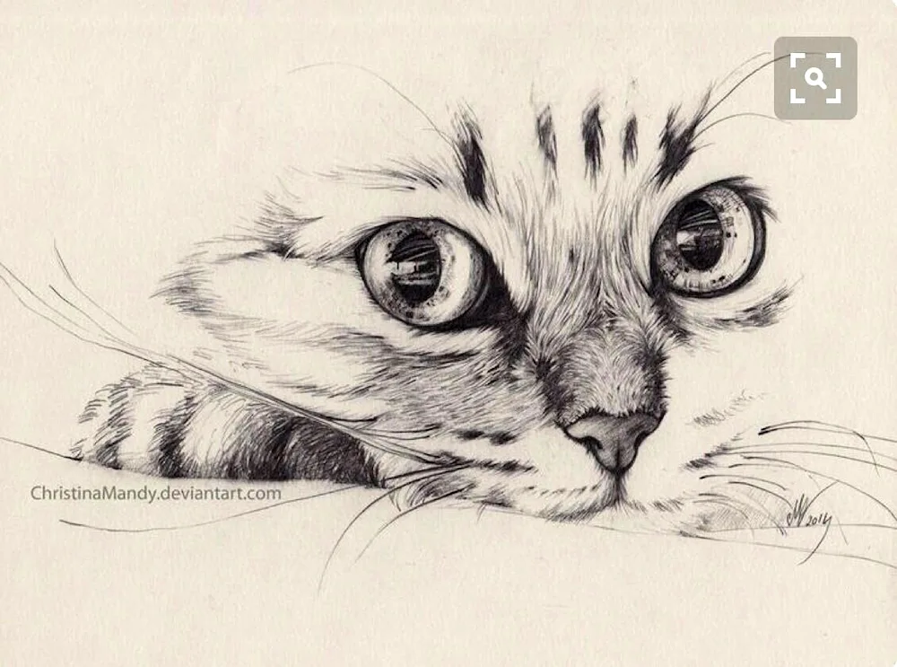 Beautiful drawings