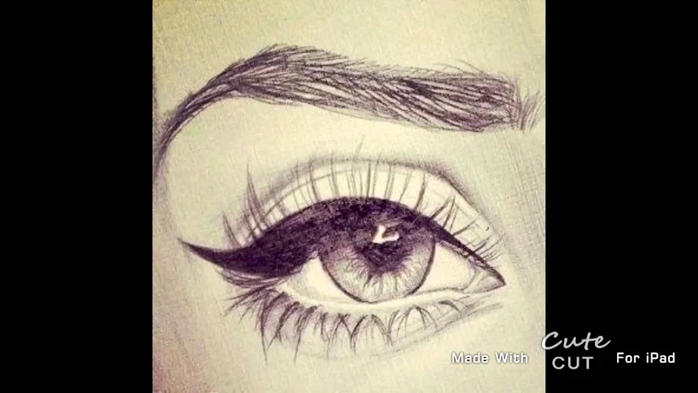Eyes