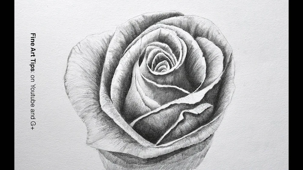 Pencil drawing