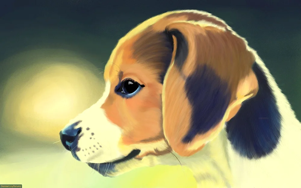 Doggy pencil drawing
