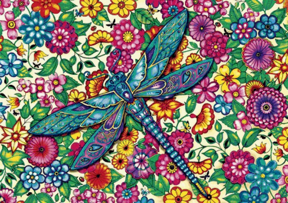 Dragonfly Dragonfly