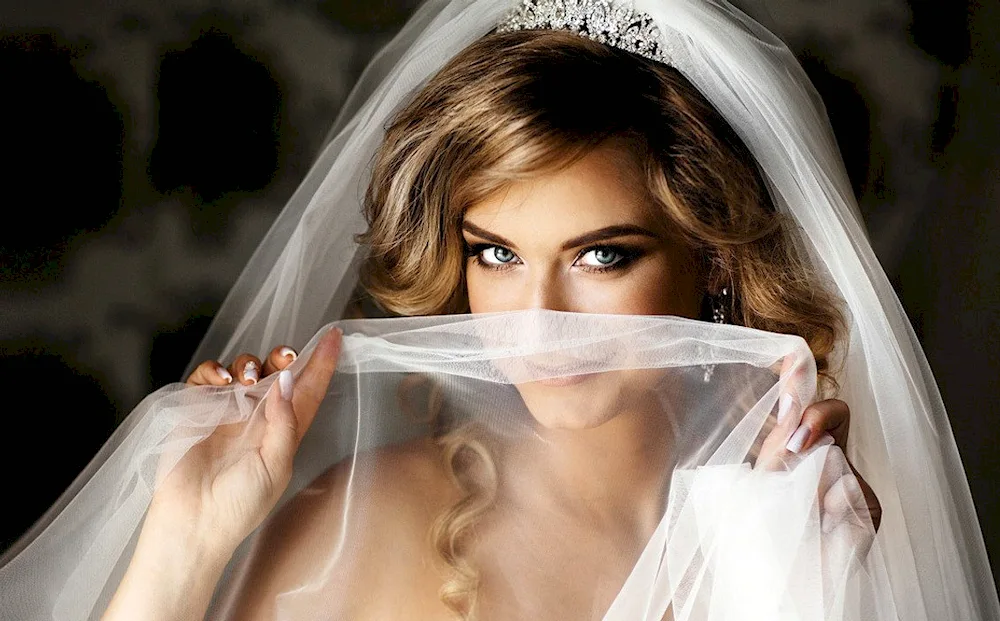 Beautiful wedding dresses with veil