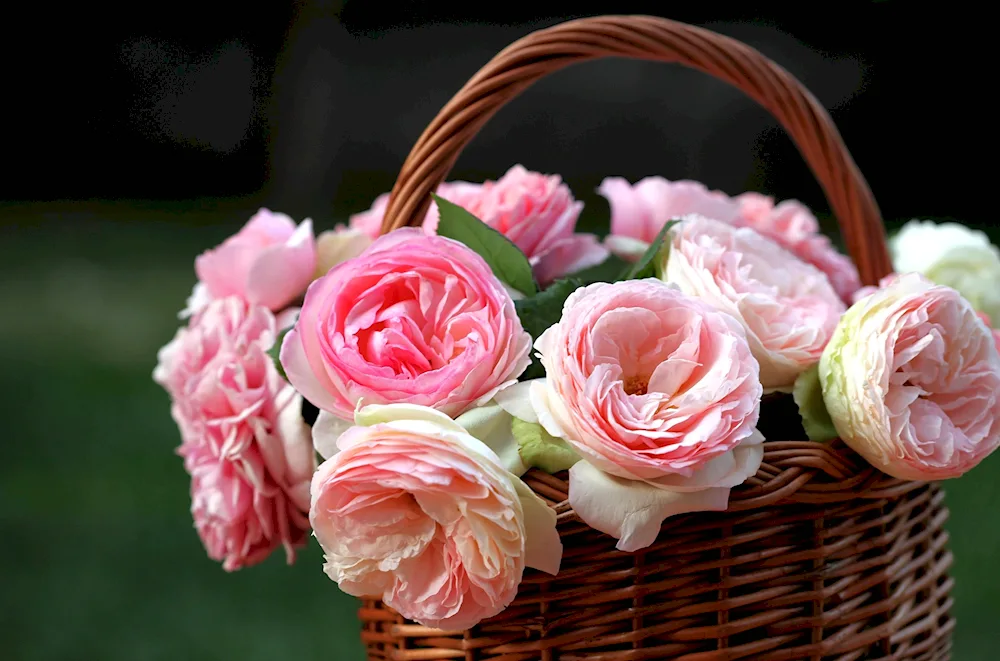 Basket of flowers