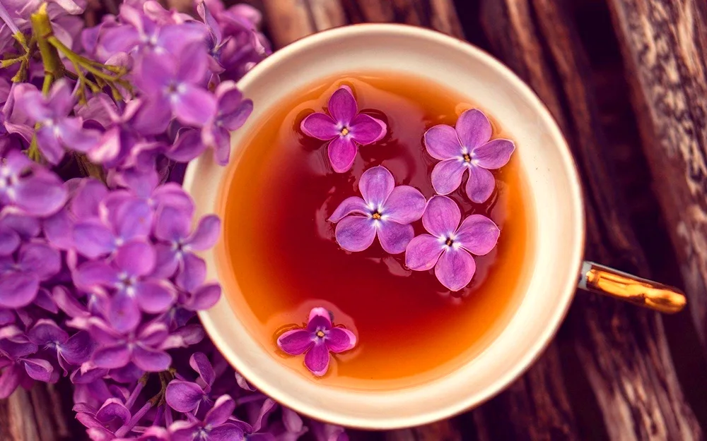 Beautiful flowers in a cup