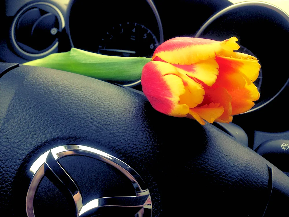 Cute flowers in the car