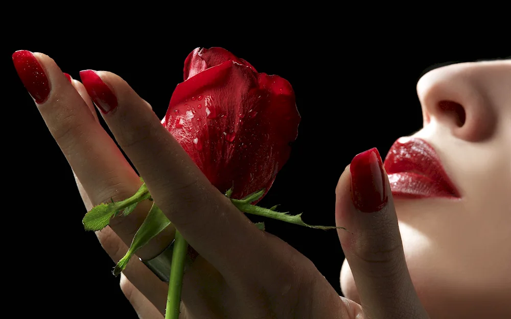 Beautiful flowers in hands