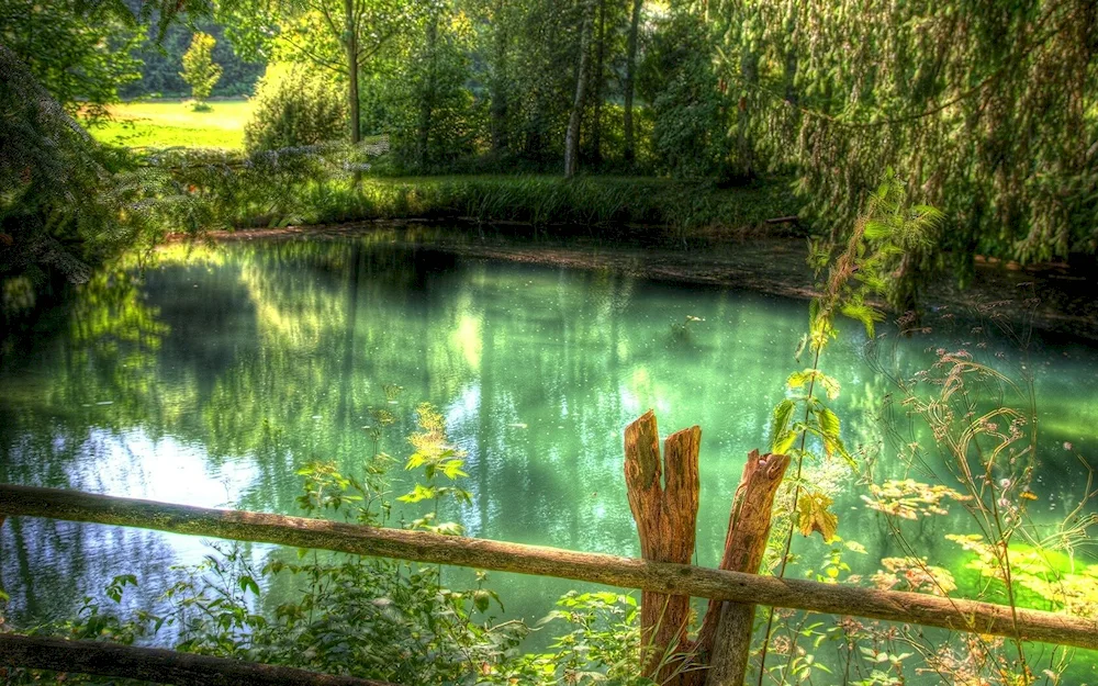 Nature