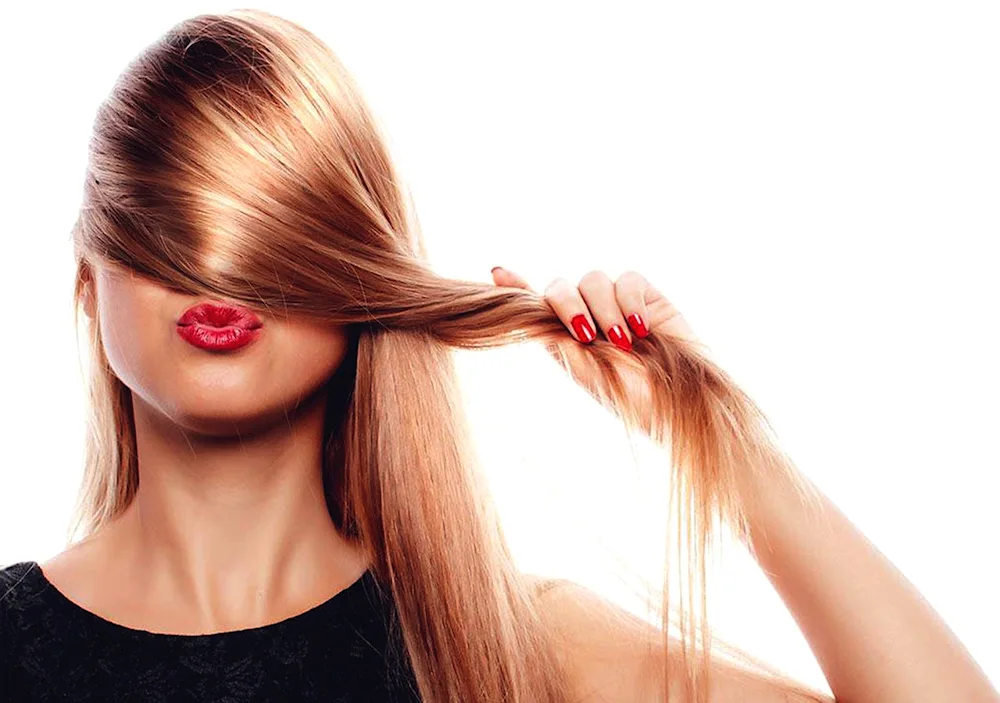 Long hairstyles