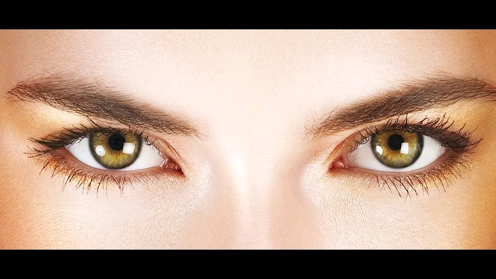 Hazel eye colour