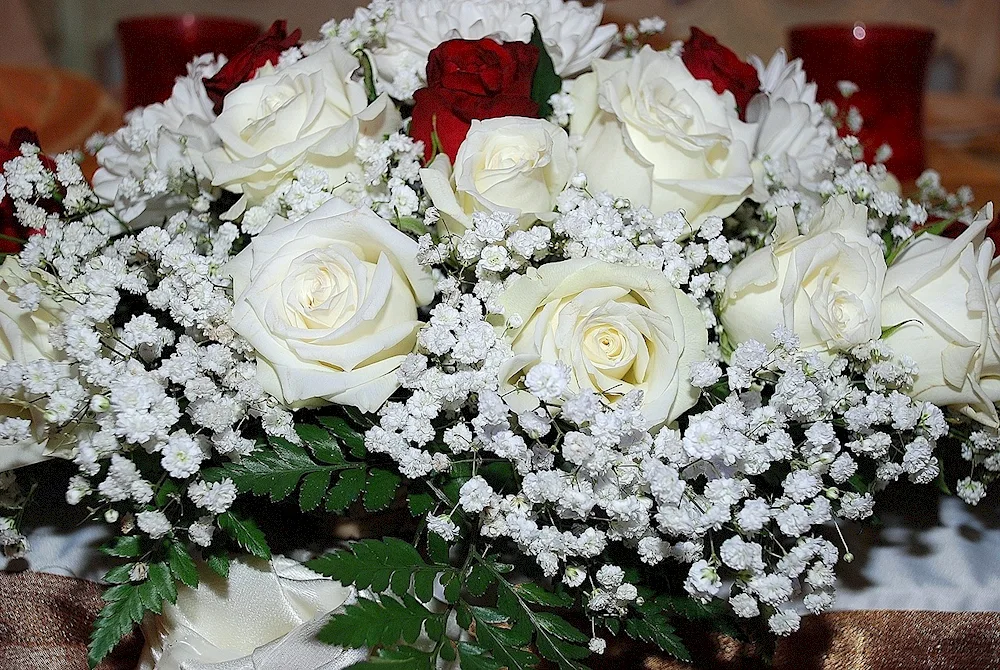 Beautiful white roses