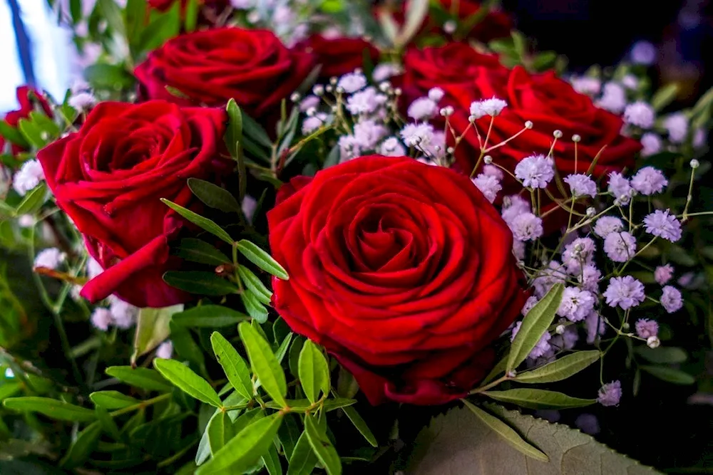 Beautiful bouquet of flowers