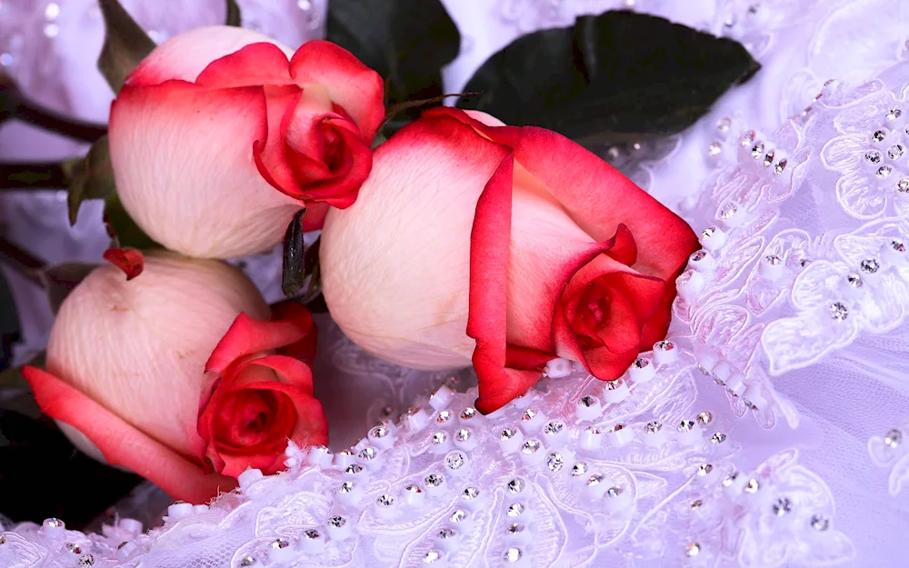 Eustoma and ranunculus in a bouquet