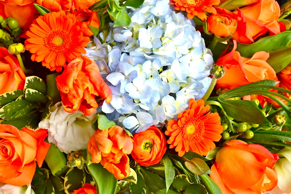 Bright bouquet