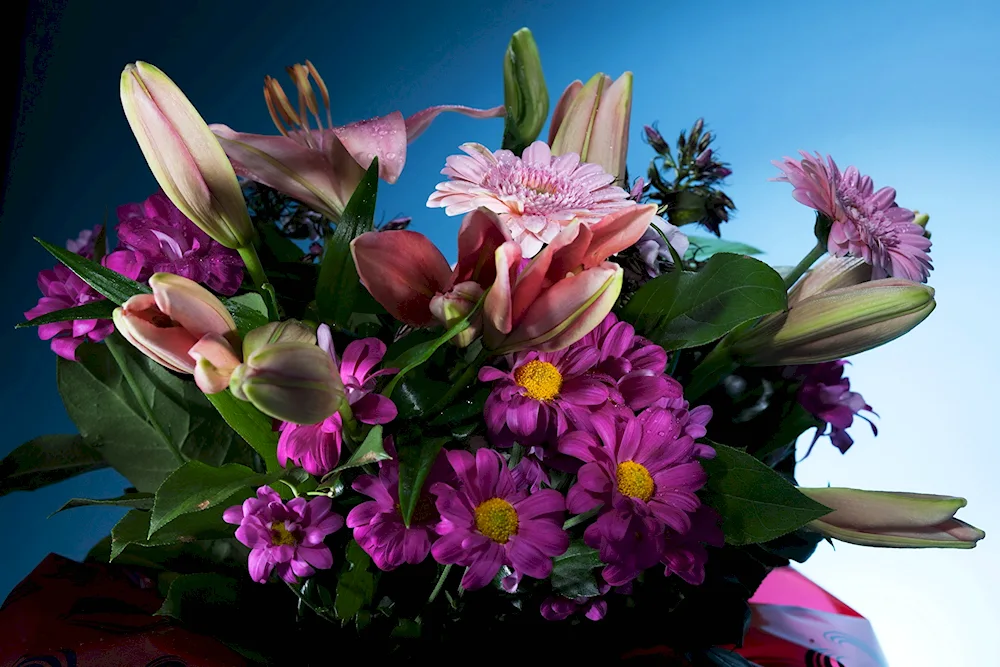 Beautiful bouquet of flowers