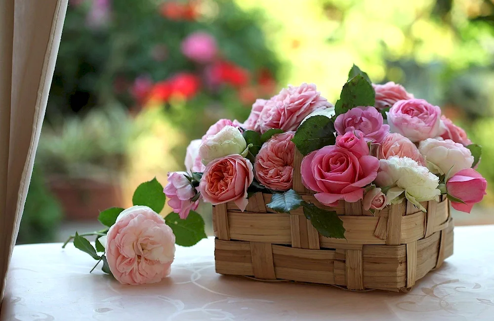 Basket of flowers flowers