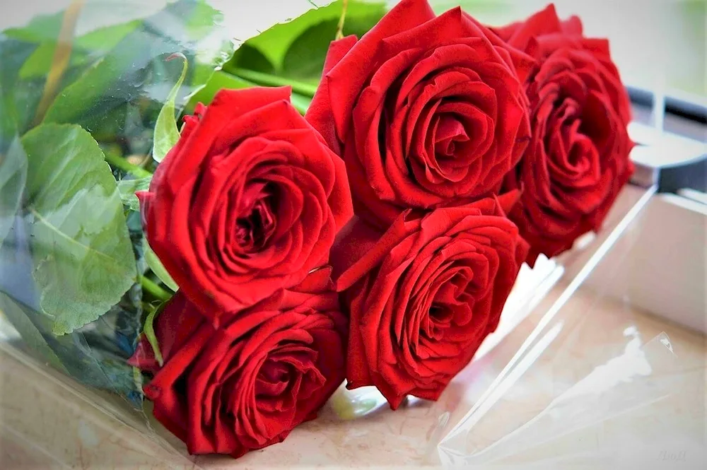 Beautiful bouquet of roses