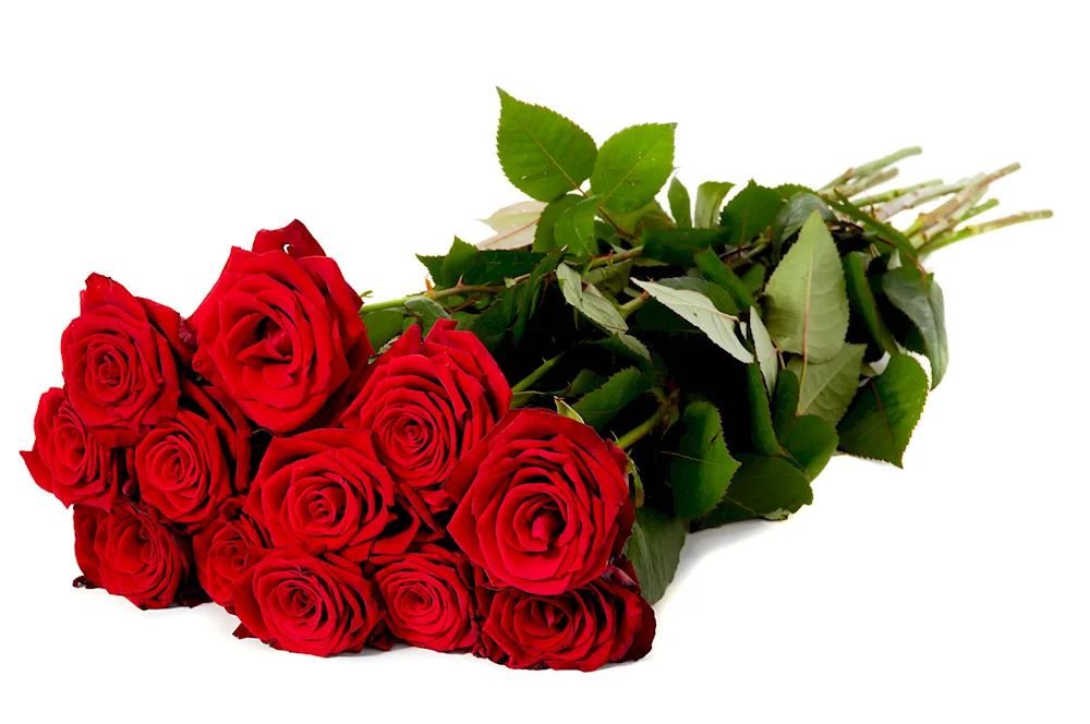 Bouquet and gift on white background