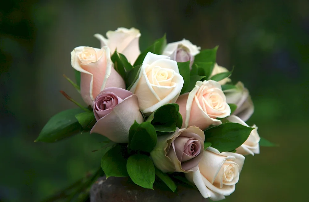 Beautiful bouquet of roses