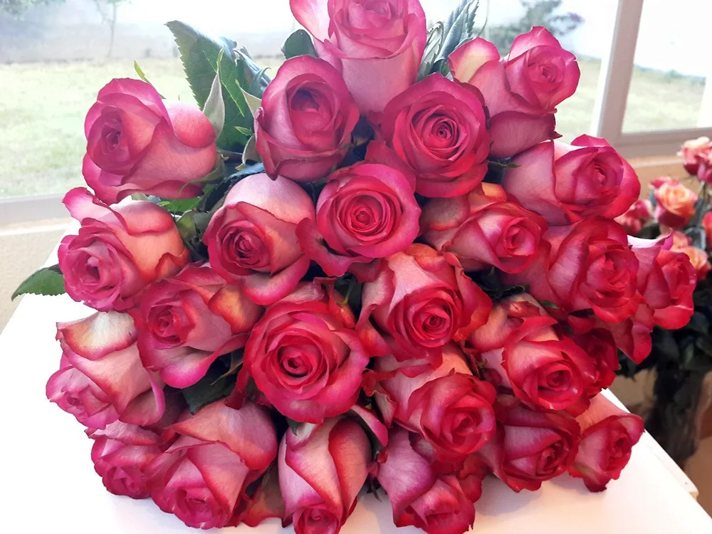 Beautiful bouquet of roses