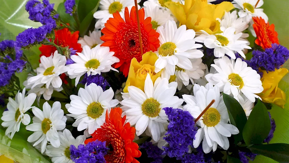 Beautiful bouquet of flowers