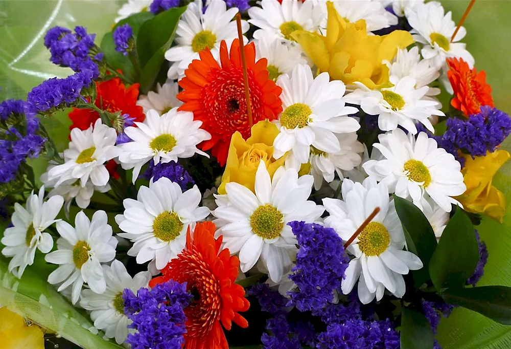 Beautiful bouquet of flowers