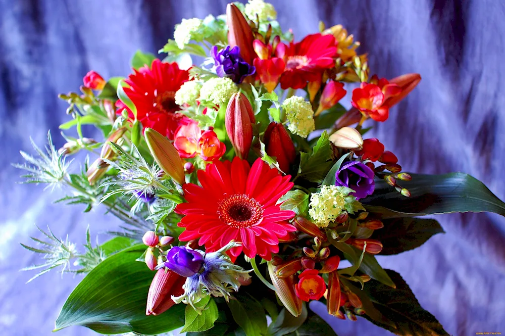 Beautiful bouquet of flowers